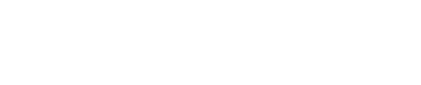 Digistylze